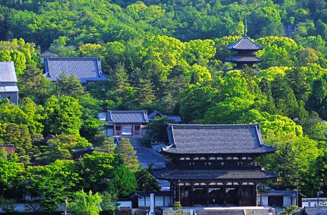 京都の世界遺産 仁和寺にて秋限定切り絵御朱印『龍と五重塔』の授与開始