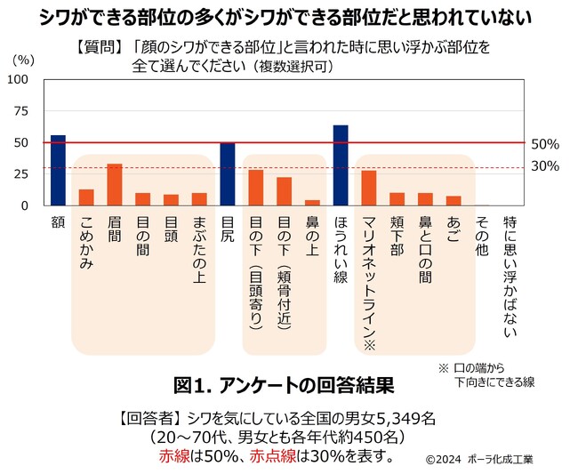 顔の多くの部位がシワができるとは思われていないことが明らかに