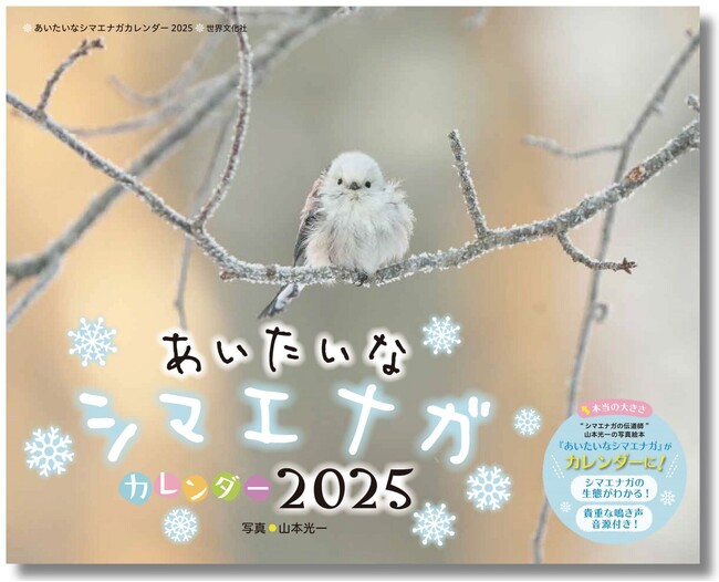 大人気シマエナガ写真絵本がカレンダーに！『あいたいなシマエナガカレンダー2025』10月4日発売