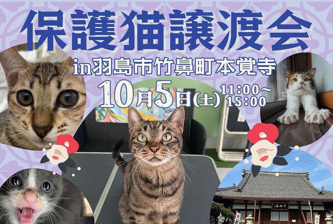 お寺で猫たちの縁結び！？岐阜県羽島市で保護猫譲渡会開催！お買い物が保護猫活動に役立つチャリティーバザーと、コストコ再販店NECOSもやってくる！