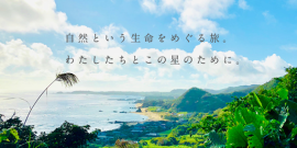 メイン画像 メイン画像