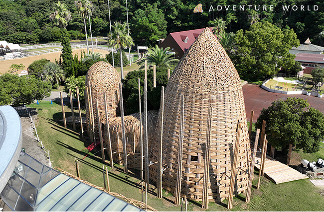 パンダが食べる竹５，０００本を使用し、１５０名以上のボランティアの皆様と制作したアート作品「パンダバンブーアート」がついに完成！１０月５日（土）に完成スペシャルイベントを開催します