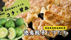 ≪徳島の新定番≫高級地鶏・すだち等の素材の良さを最大限に活かした徳島餃子が応援購入サイト「Makuake」にて先行販売！