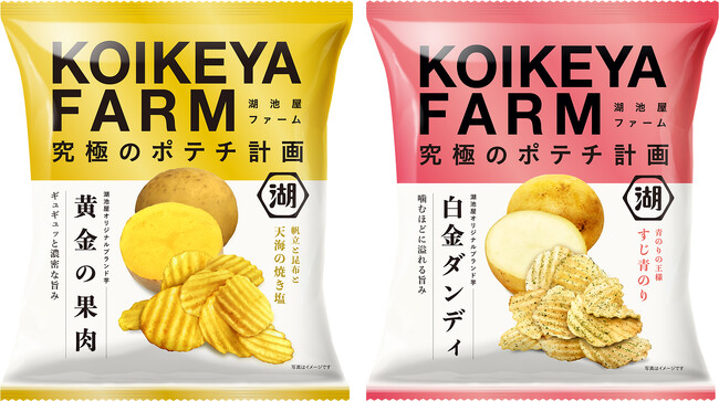 “湖池屋オリジナルブランド芋でつくるポテトチップス”ついに定番化！「KOIKEYA FARM 黄金の果肉 天海の焼き塩／白金ダンディ すじ青のり」 - プロモーションには相葉雅紀さんの起用が決定！ -