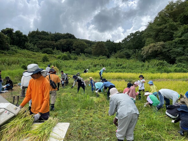 茨城県での生態系保全活動拠点が環境省の「自然共生サイト」に認定