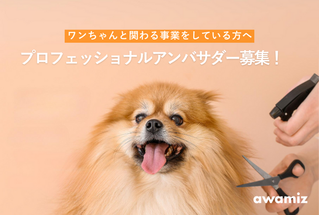 ＜プロ限定犬用シャンプーawamizアンバサダー募集＞ウルトラファインバブルを使ったawamizを大切なワンちゃんのために