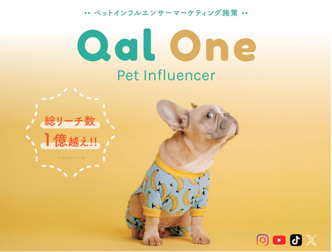 総リーチ数1億越え＆高エンゲージメント率の　　　　　　　　　　　ペットインフルエンサーマーケティング施策　「QAL ONE」の提供を開始