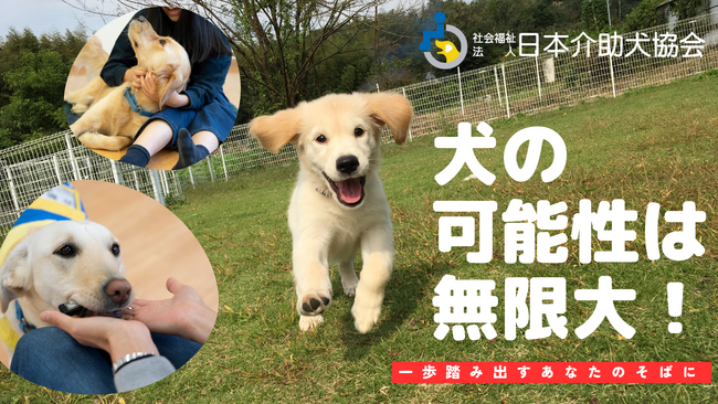 【返礼品はふるさと納税限定オリジナルデザイン！】ふるさと納税で社会貢献「犬の可能性は無限大！一歩踏み出すあなたのそばに（日本介助犬協会の活動支援）」が本日受付開始