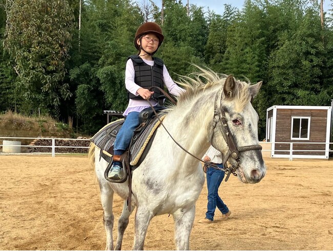 【11/2出発 】12名限定! ウエスタン乗馬体験スクール ~ロッキー編~