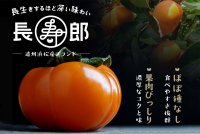 樹齢20年以上の長樹で育てた次郎柿「長寿郎」　浜名湖産直マーケットにて2024年10月8日(火)より予約開始！