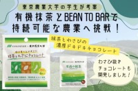 【東京農業大学】残り10日！有機抹茶とBean to Barで持続可能な農業へ挑戦！　～アグリビジネス学科「抹茶商品企画」がクラウドファンディング～