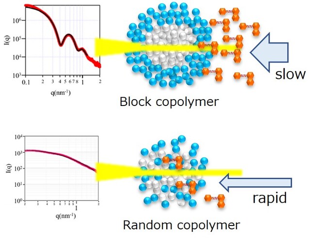 コポリマーミセルの構造と疎水性染料可溶化の相関性を解明 ～インクや薬の分散性、安定性の向上につながる重要な知見～