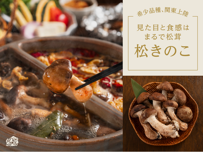 10月15日は????きのこの日????関東にほとんど流通していない「松きのこ」を思う存分味わい尽くす「裏の山の松きのこコース」が10月15日より期間限定で提供開始!