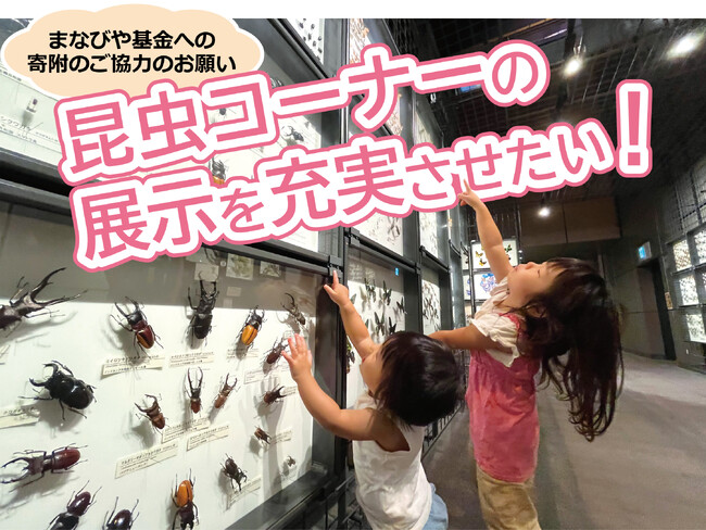 神奈川県立生命の星・地球博物館の昆虫コーナーの展示を充実させるため寄附募集を開始します