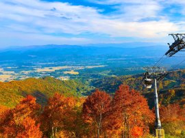 紅葉ゴンドラ 1 紅葉ゴンドラ 1