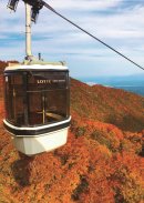 紅葉ゴンドラ 2 紅葉ゴンドラ 2