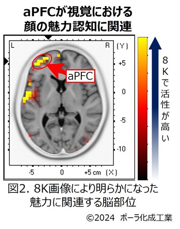 化粧品の感覚変容ツールとしての可能性を発見