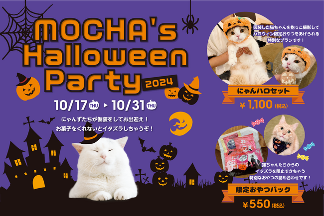 猫カフェMOCHAがお届けするハロウィンだけの特別な世界！『MOCHA's Halloween Party 2024』
