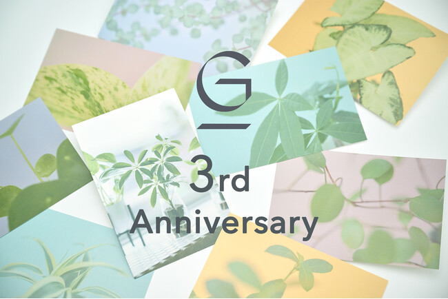 土を使わず水だけで育てる観葉植物「＆Green」が祝3周年！インフォグラフィックを公開