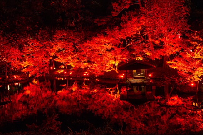 〈11/23(土・祝)～12/15(日)開催〉八芳園の庭園を赤に染めるライトアップイベント『TOKYO RED GARDEN 2024』を開催