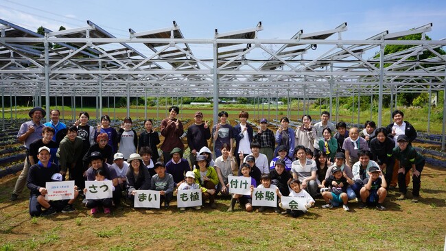 【初開催】千葉市のソーラーシェアリング畑でサツマイモの収穫イベントを実施します！10/26、学生と地域の家族連れが一同に集う秋の収穫祭