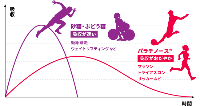 はちみつの即効性＋パラチノース(R)の持続性がコラボ長時間動き続けるスポーツの新時代アイテム【ハニーアクション】