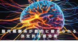 【脳内報酬系を鍛えるには】脳の刺激活性化は報酬系(ドーパミン、セロトニン)を鍛えることから。脳内の報酬回路が劇的に動き出す革新的誘導法! 報酬系の働きが弱い方へ 【脳内報酬系を鍛えるには】脳の刺激活性化は報酬系(ドーパミン、セロトニン)を鍛えることから。脳内の報酬回路が劇的に動き出す革新的誘導法! 報酬系の働きが弱い方へ