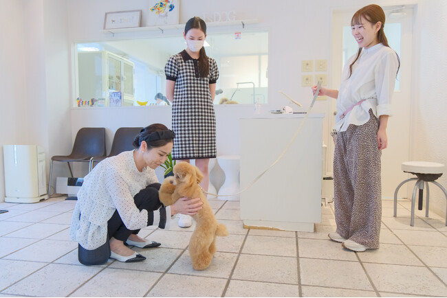 愛知県発の人気トリミングサロン「アイズドッグ」、全国展開を目指してフランチャイズ加盟募集を開始！
