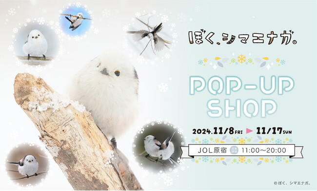 『ぼく、シマエナガ。POP-UP SHOP』の開催決定！