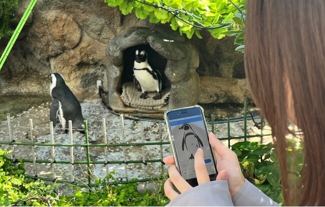サンシャイン水族館で“推し”のペンギンが見つかる！？明治大学の学生が開発した日本初の個体識別システムで新感覚の生き物観察体験