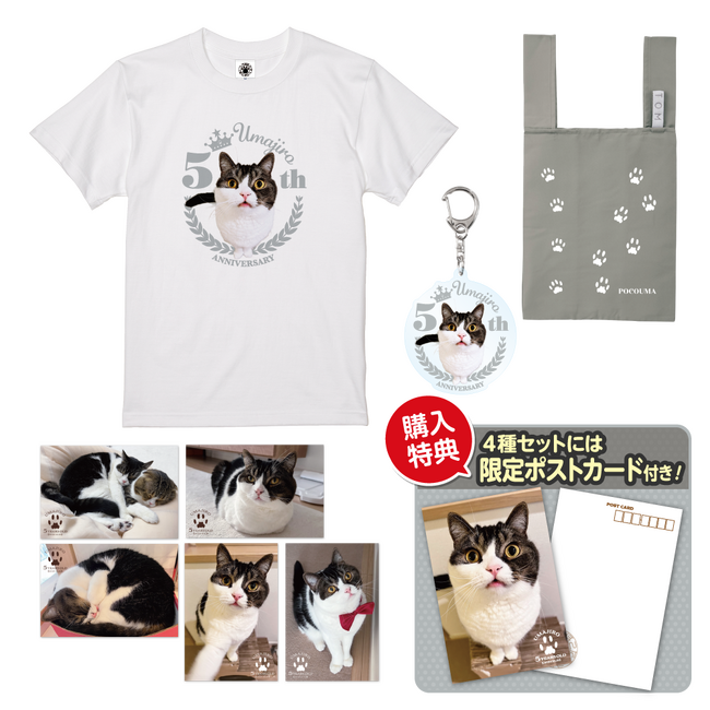 YouTubeで人気の『スコスコぽこ太郎&うま次郎～猫ちゃんねる～』のうま次郎が5歳の誕生日を迎え「うま次郎5歳記念限定グッズ」を10月15日18時より販売開始いたしました！