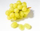 なかなか販売していません。特に直送されることはほとんどありません。農家の人たちが食べるか、またはその季節最後のぶどうを購入するため農家に行くとお目にかかれる事があるかも…という希少で貴重なシャインマスカットです。 なかなか販売していません。特に直送されることはほとんどありません。農家の人たちが食べるか、またはその季節最後のぶどうを購入するため農家に行くとお目にかかれる事があるかも…という希少で貴重なシャインマスカットです。