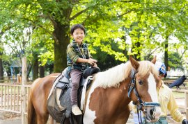 気軽にポニーの乗馬ができる施設として好評のスポット 気軽にポニーの乗馬ができる施設として好評のスポット
