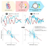 【中部大学】心拍による頭の揺れを無意識に眼球運動が補正することを発見、覚醒度との関連性も実証--眠気検知・居眠り防止の新たな技術として期待--