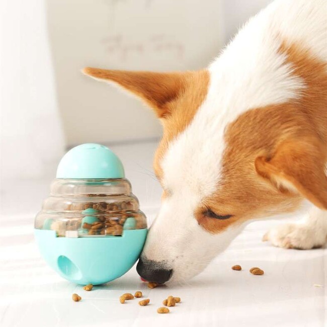 犬おもちゃ専門通販サイト「いぬはっぴー」がサービスを正式リリースしました！
