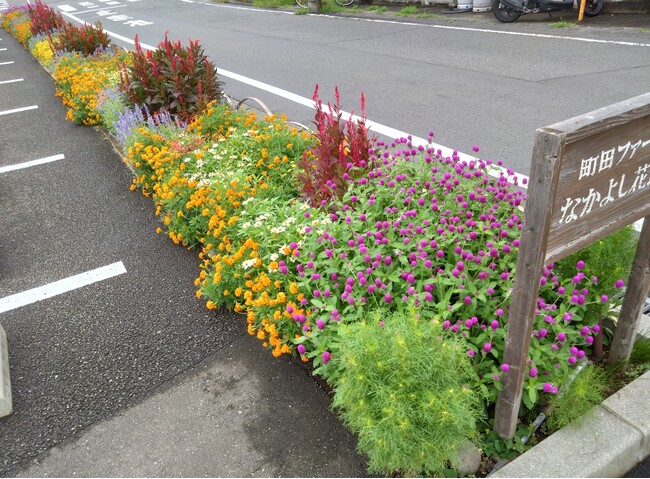 【町田市東京都】花の香り漂う美しいまちづくり　2024年度秋の花壇コンクール受賞団体を発表！