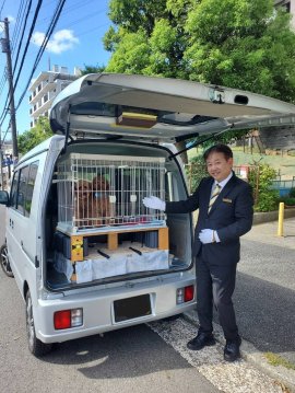 ふわふわペットタクシー ふわふわペットタクシー