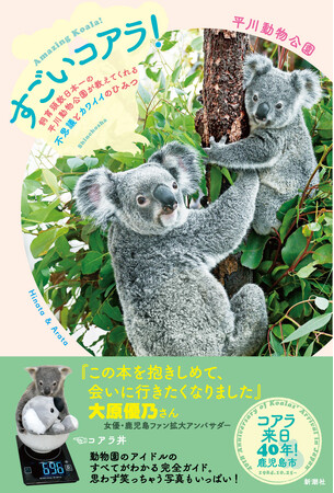 １日20時間眠るコアラのすべてがわかる！『すごいコアラ！　飼育頭数日本一の平川動物公園が教えてくれる不思議とカワイイのひみつ』10月17日本日発売！