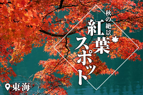 ＜東海版＞スタッフ厳選！「秋の絶景 紅葉スポット」特集ページを公開