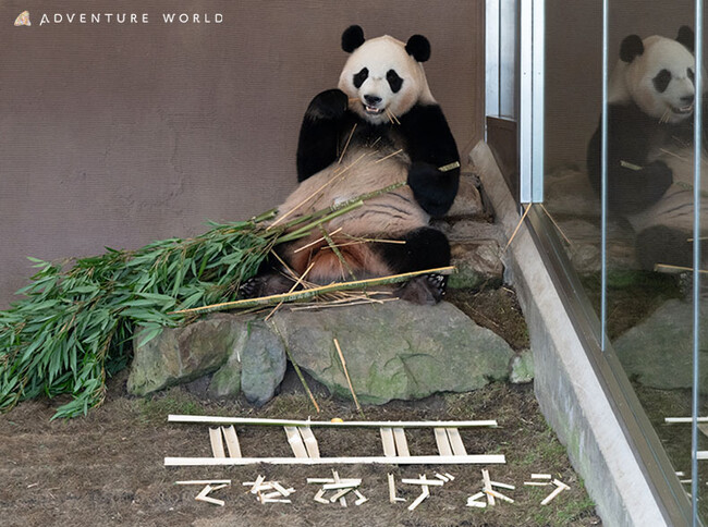 “飲酒運転根絶大使”の天童よしみ氏と“交通安全和歌山夢大使”「楓浜（ふうひん）」がコラボ！自転車の酒気帯び運転に関する交通安全広報イベントを開催します！２０２４年１０月２７日(日)