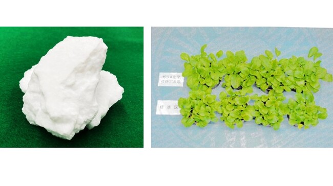 AGCディスプレイグラス米沢とユーグレナ、国内で初めて化学強化廃棄塩を肥料原料としてリサイクルすることに成功