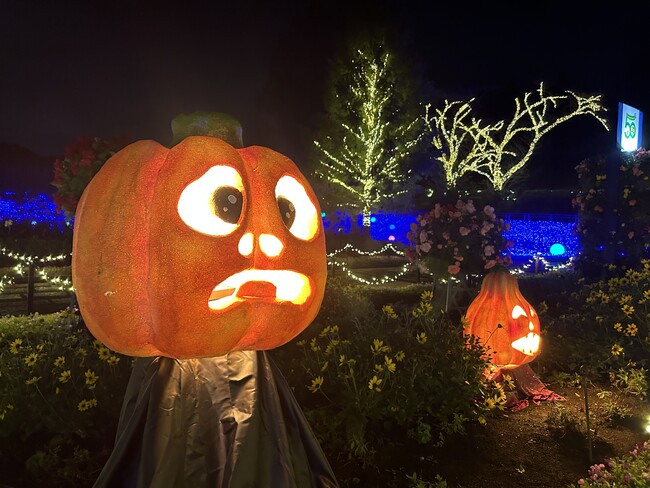 ライトアップ&イルミネーション「森のハロウィンナイト」開催します!(国営武蔵丘陵森林公園)