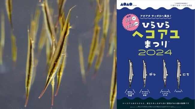 11月11日は「ヘコアユの日」！逆立ちで泳ぐ “ヘコアユ”の11個のイベントが今年も登場！「ひらひら“ヘコアユ”まつり2024」を 11 日間開催
