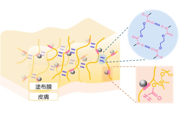肌にやさしいUVカットを実現する皮膜形成剤を開発　国際的な化粧品技術の研究発表会IFSCCにて発表