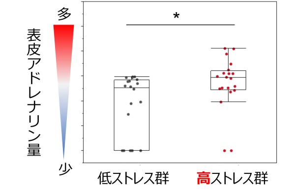心理的ストレスにより肌のバリア機能が低下することを実証　国際的な化粧品技術の研究発表会IFSCCにて発表