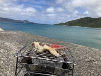 革新的ソロBBQセットレンタル、奄美大島でスタート！