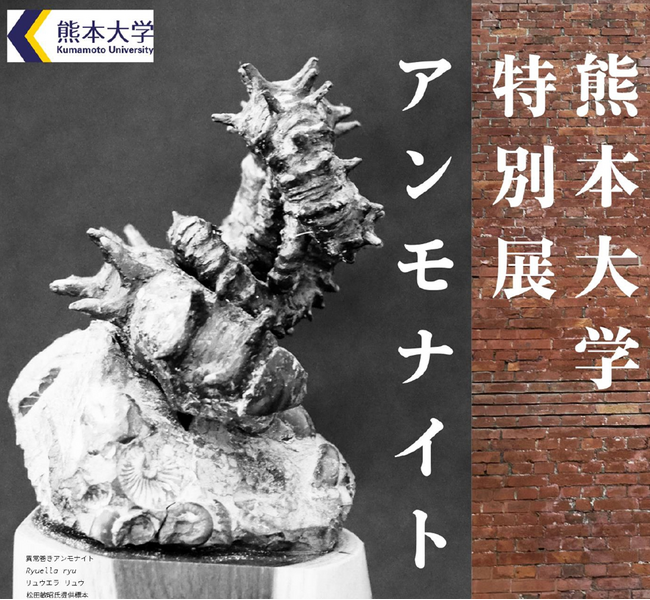 「熊本大学特別展アンモナイト」開催のお知らせ