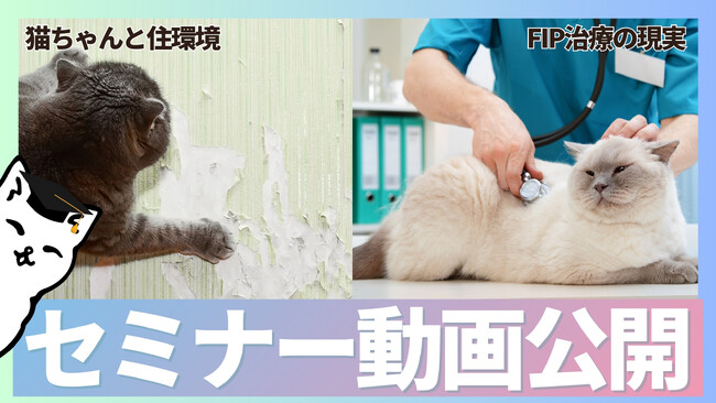 【セミナー動画公開】秋の猫イベントで開催された