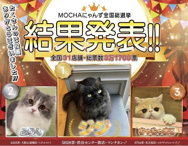 話題のにゃんず全国総選挙の優勝にゃんずが決定！全国からの3万票を超える投票数で大盛り上がり！ 接戦を制し大逆転でMOCHAにゃんずの頂点に立ったのは！？「MOCHAにゃんず全国総選挙2024」結果発表