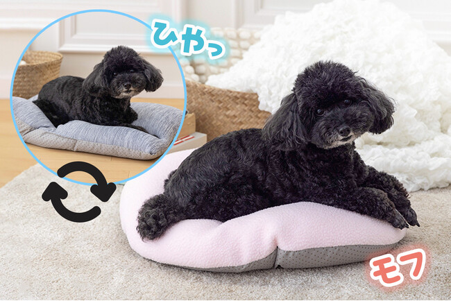 犬用の年中使える2wayリバーシブルベッド発売！